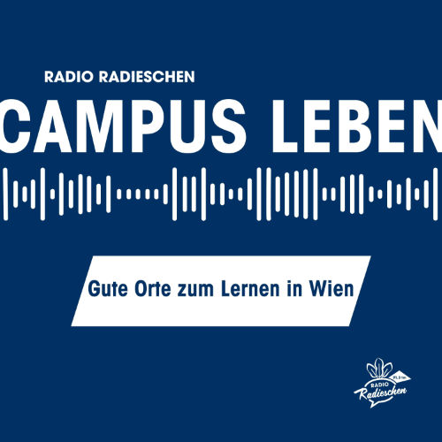 Gute Orte zum Lernen in Wien
