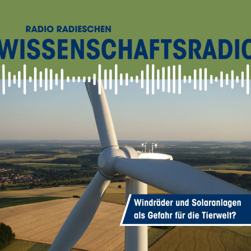 Wissenschaftsradio: Windräder und Solaranlagen als Gefahr für die Tierwelt?